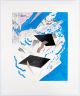 Maaike Bakker-A few unnecessary ideas