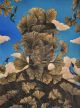Mark Modimola-Spring’s Messengers