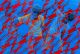 Evans Mbugua-WeRe All Spinning-Round The Same Sun 1