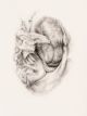 Elizabeth Gunter-So, they bide no longer