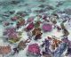 Karin Daymond-Soetwater