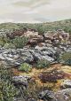 Adele Van Heerden-Biedouw Valley Boulders
