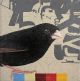 Alet Swarts-Working with odd numbers