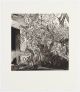 Andrew Kayser-The Manor
