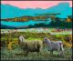Norman O'Flynn-Angora