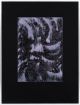Bevan de Wet-Contour I (Obscured by clouds)