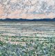 Bruce Backhouse-Blue wilderness Karoo