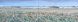Bruce Backhouse-Great Karoo, Diptych
