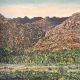 Bruce Backhouse-Karoo Baviaans
