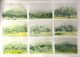 Bruce Backhouse-Misty Day Nhlazela