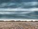 Bruce Backhouse-Storm Build-Up Near Hofmeyr Middelburg