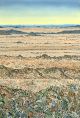 Bruce Backhouse-The Great Karoo