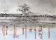 Erna Groenewald-Buys
