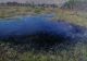 Cathy McShannon-Big pool on the Common