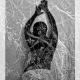Chinwe Chigbu-`Deeply Rooted I'