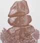Dan Halter-Domboremari (Bronze)