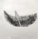 Emma Willemse-Boat Fragment no 2