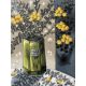 Zonia Nel Scheffer-Everlasting fynbos in vase