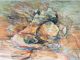 Heidi Fourie-The boulder that became a cave