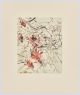 Heidi Fourie-early flower