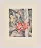 Heidi Fourie-erythros