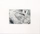 Heidi Fourie-Unsuspecting Individuals