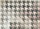 Chloë Reid-Houndstooth