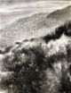 Philippa Allen-Prevailing Aspect