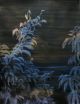 Philippa Allen-Gloaming