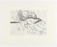 Jessica Webster-Untitled (Bird in Flight)