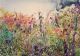 Meriel May-Dullstroom Undergrowth 2