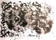 Ferial Mohamed-Mirror 2