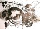 Ferial Mohamed-Mirror 3
