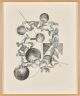 Nolan Oswald Dennis-sup D or the root of south is sun