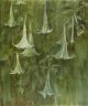 Rosemary Joynt-Brugmansia