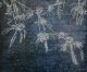 Rosemary Joynt-Garden Galaxies