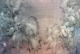 Zarah Cassim-Wind