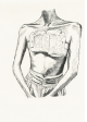Shakil Solanki-Breastplate