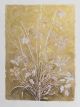 Sue Martin-Still Life I