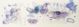 Jo Rogge-The Blue Blush of Anemone