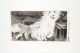 Anna van der Ploeg-Antilogic is the dance of the dog in hell happy to eat any food that grows, but do they not say the same of a dog in heaven?
