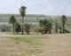 Vincent Bezuidenhout-Shareworld Resort