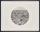 Walter Oltmann-Study for Penumbra