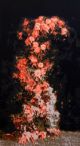 Ronél de Jager-What does not break will bend
