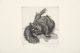 William Kentridge-Domestic Scences 13: Cat