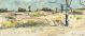 Zolile Phetshane-Untitled Landscape 5
