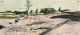 Zolile Phetshane-Untitled Landscape 6
