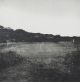 Zhané Warren-The tennis court